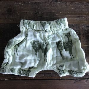 Kate Quinn camel shorts